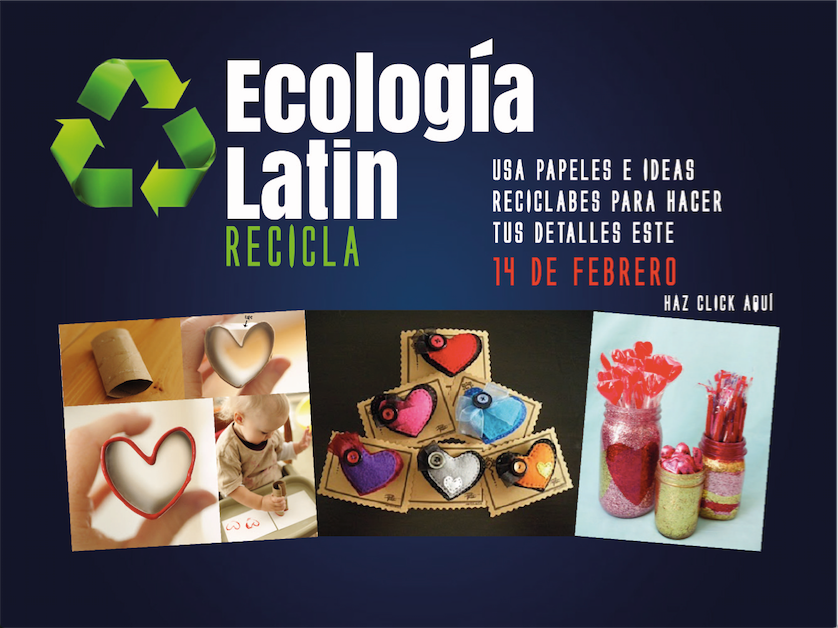 Programa de Ecología: Reciclado de Cartón